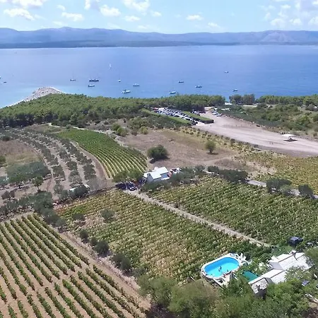 Vineyard House Ferienhaus *