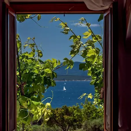 Ferienhaus Vineyard House