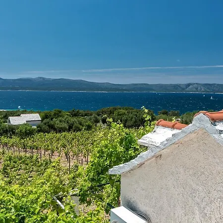 Ferienhaus Vineyard House Bol