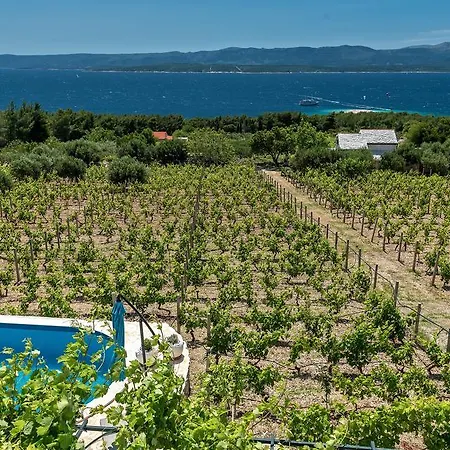 Vineyard House Bol