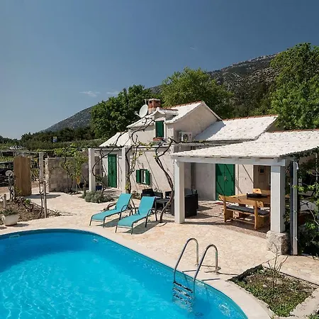 Vineyard House Bol