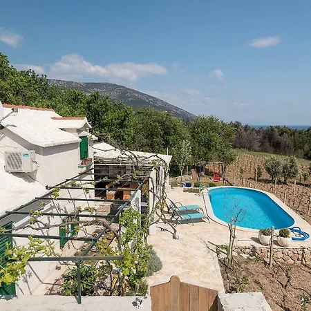 Vineyard House Bol